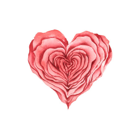 Red rose in the form of a heart, watercolor illustrationの写真素材