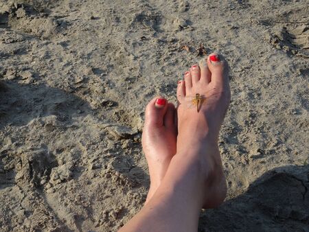 on the background of sand crossed female legs with red nails on the left foot sits a dragonflyの写真素材