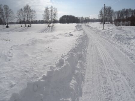 The winter road goes off into the distance among snow-covered fields and birchesの写真素材
