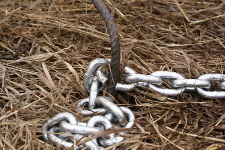 On the dry grass lies a metal chain with a broken link close up