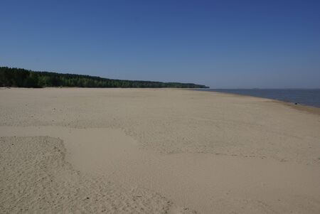 a large sandbank on the seashore with a forest growing on the edge. blue sky sea and sand merge on the horizonの写真素材