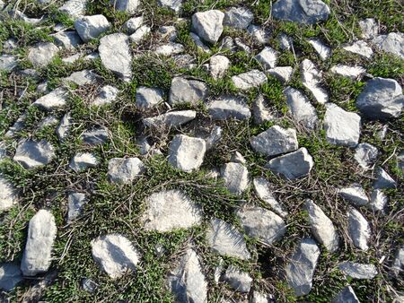 close up of a section of road made of gray gravel overgrown with spring bright green grassの写真素材