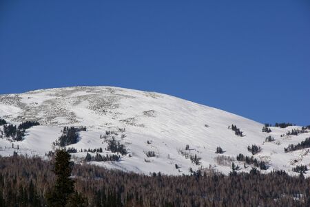Snow top of the mountain against the blue sky at the foot of the mountain grows a forestの写真素材