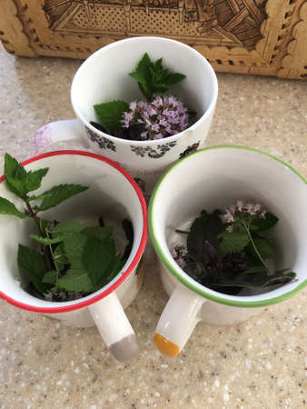 close-up of aromatic herbs, a bright green sprig of peppermint, a delicate inflorescence of oregano, a dark purple sprig of baselica prepared for brewing inside a ceramic mugの写真素材