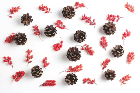 pattern of berries and cones on a white background. Creative layout, top view compositionの写真素材