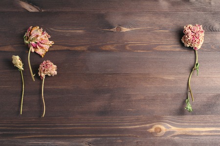 dried peony flowers of pink color on a wooden dark background. flat lay, top view, blank space for a textの写真素材