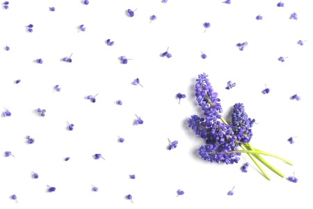 bouquet of hyacinths of color of ultraviolet on a white background. view from above, flat lay, top viewの写真素材