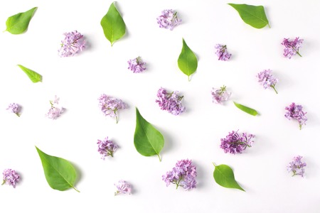 Beautiful pattern of flowers and leaves lilac on white background. top view, flat layの写真素材
