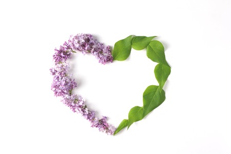 Beautiful frame of fresh flowers and leaves on a white background. creative concept, flat lay, top viewの写真素材