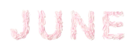 text JUNE on white background. letters lined with fresh petals peony of the pink color. creative layout. minimal concept, flat lay,top viewの写真素材