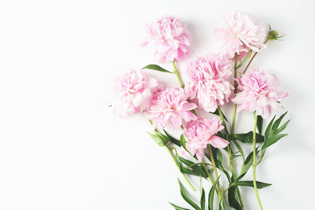 beautiful bouquet of peonies on a white background. space for text. flat lay, top viewの写真素材