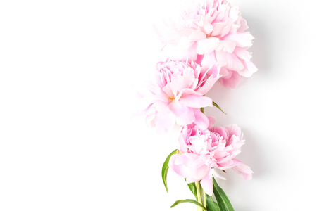 peonies flowers close-up background. flat lay, top view, holiday conceptの写真素材