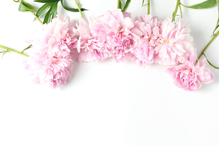 frame of fresh pink peonies, top of frame. White background, top viewの写真素材