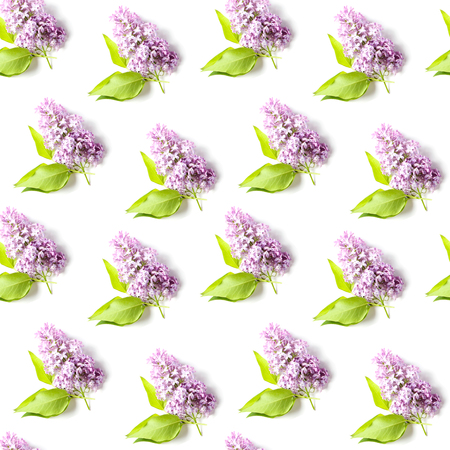 beautiful seamless pattern of lilac and green leaves inflorescences on a white background, flat lay, top view, squareの写真素材