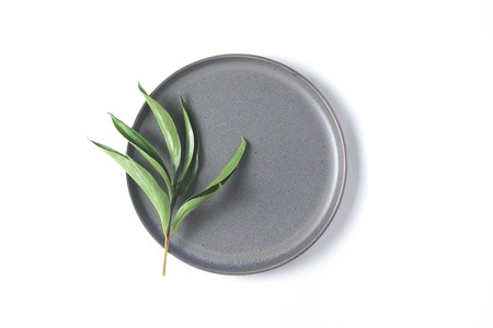 flat plate and green leaves on white background. flat layの写真素材