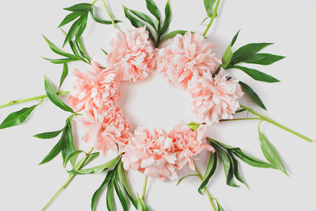 round frame of flowers on a white background. light coral fresh peony flowers. flat lay, top view.の写真素材