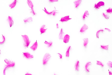 pink feathers pattern on white background. view from above.の写真素材