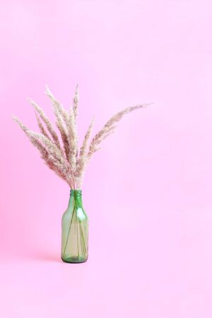 bouquet of dry wild plants on a pink background. vase in the form of a green transparent bottle. space for text. vertical frameの写真素材