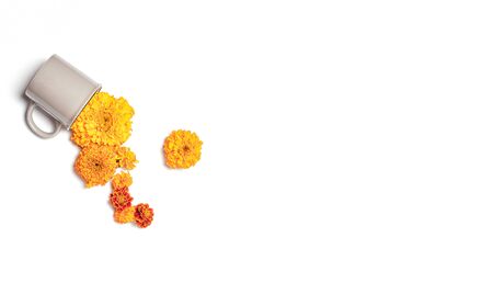 tea cup with fresh orange flowers. fall concept on white background. banner with space for text, flat lay.の写真素材