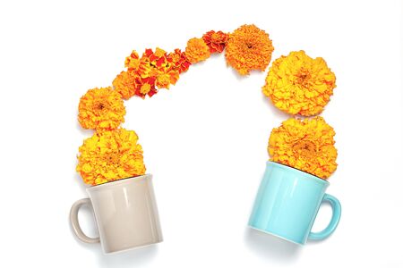 fall concept. tea cups with fresh orange flowers on white background. top view, flat lay.の写真素材