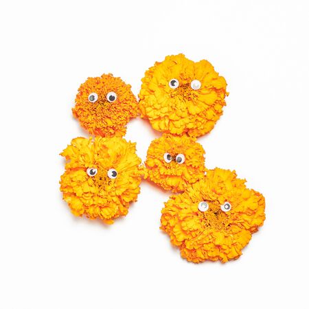 Halloween holiday background. cute orange flowers with eyes on a white background. flat lay, square frameの写真素材