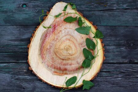 composition of old boards. view from above. slice wood and bindweed. flat lay, top view.
