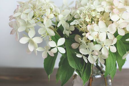 beautiful composition-white flowers in a glass vase close-up.