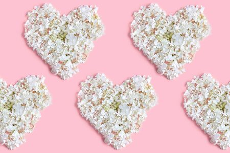 Valentine's day layout. hydrangea flowers are white on a pink background. the pattern in the form of...