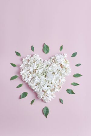 the heart shape of white hydrangea flowers on a pink background. flat lay, vertical frame, valentines cards concept.の写真素材