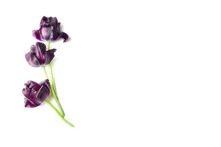 beautiful composition of pink spring flowers. flat lay, copy space.の写真素材