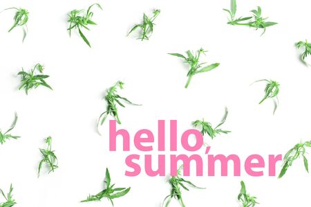 the inscription Hello, summer. minimalistic floral concept on a white background.の写真素材
