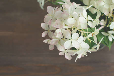 bouquet of white hydrangeas fresh flowers on dark wooden table. retro filter, copy space, top view