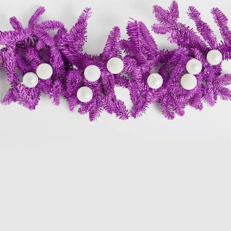 Holiday concept. purple spruce branches are decorated with white balls. copy space, flat lay, square frame.の写真素材