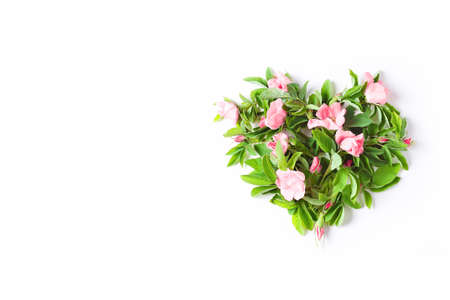 heart shape made from fresh flowers and rose leaves. minimalistic floral composition on white background. flat lay, copy space.の写真素材