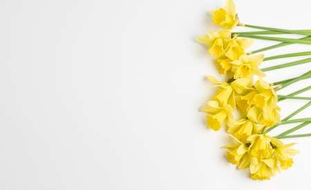 floral concept. festive frame from spring flowers on a white background. bright green fresh flowers of a daffodil. simple flat lay, easter card, place for text.の写真素材