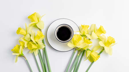 festive floral banner. composition of spring yellow daffodils and coffee mugs on a white background. simple flat lay, copy space.の写真素材