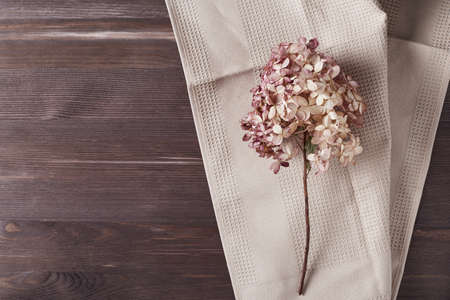 delicate dry hydrangea flower on a beige kitchen towel on a dark wooden background. simple flat composition with place for text. top view, copy space.の写真素材