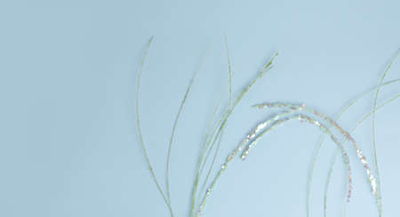 holiday long banner. spring decorative sprigs in sparkles on a blue background. simple flat...