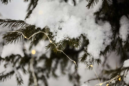garland with yellow Christmas lights on the branches of a snow-covered spruce. christmas mood...