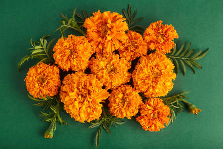 beautiful autumn flower arrangement on a green background. simple flat lay, top view.の写真素材