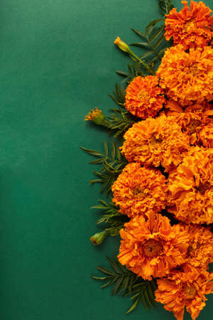 fall frame with place for text. beautiful orange flowers on a green background. minimalistic autumnal composition, flat lay.の写真素材