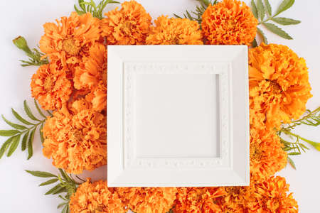 layout of fall frame with place for text. orange flowers on a white background. simple flat lay invitation or greeting banner mockup.の写真素材