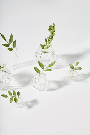 minimalistic composition of a glass vase and a green leaf on a white background. decorative...