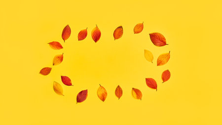 autumn long banner yellow background. autumn colorful leaves in red and yellow. minimalistic autumn background top view, copy spaceの写真素材