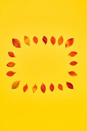 autumn frame on a bright yellow background. autumn colorful leaves in red and yellow. minimalistic autumn background flat layの写真素材
