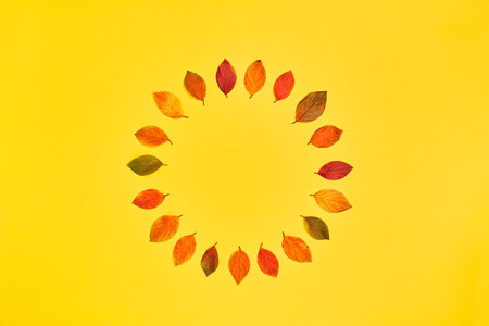 round frame made of yellow and red leaves with space for text. autumn leaves on a bright yellow background. simple composition top viewの写真素材