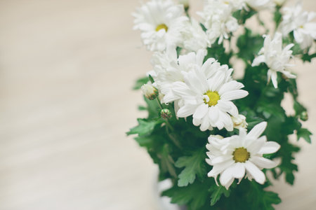 Soft focus arrangement of white daisies with yellow centers and lush green leaves, set against a neutral, light backgroundの写真素材