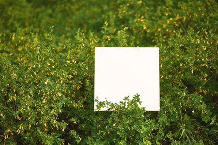 natural simple mock up. empty white leaf against the background of a green shrub blooming with yellow flowers. template for design presentation, event promotion, portfolioの写真素材