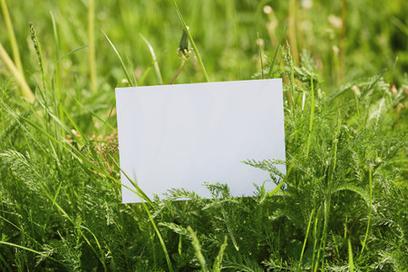 A blank white card placed amidst lush green grass in natural sunlight, suitable for eco-themed mockups and creative designs.の写真素材