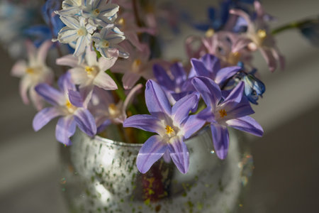 Beautiful spring flowers in various colors are arranged in a glass vase, illuminated by soft morning light.の写真素材